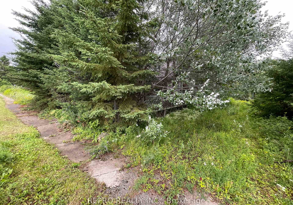 65-edward-street-iroquois-falls-ontario-t12376055