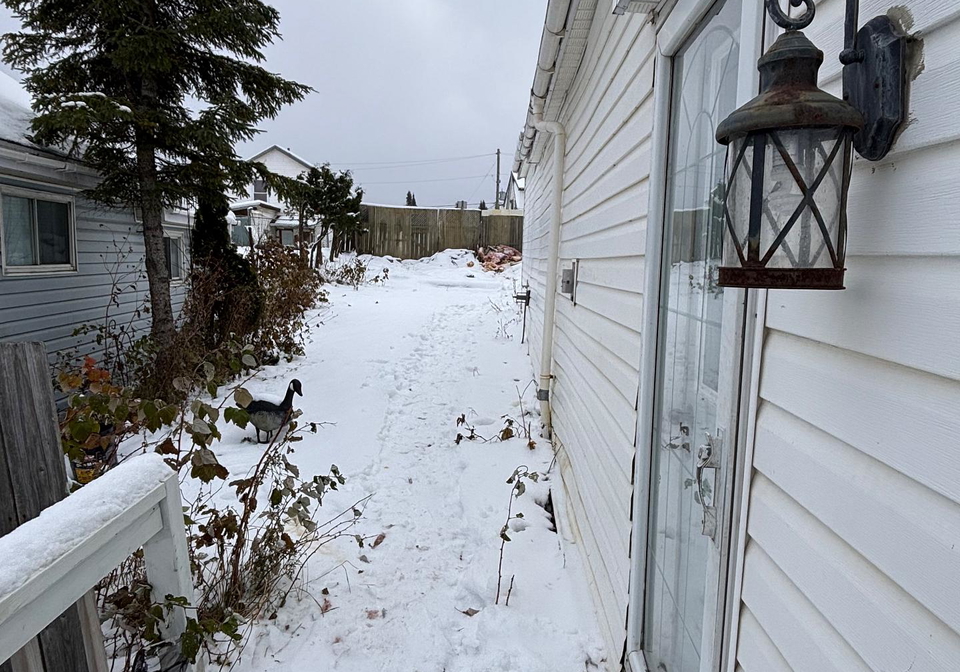 50-lionscrest-lane-timmins-ontario-t12534842