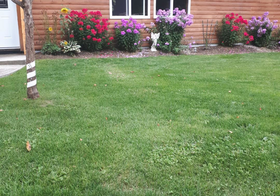 2028-toggenberg-trail-otto-kirkland-lake-ontario-t13224652