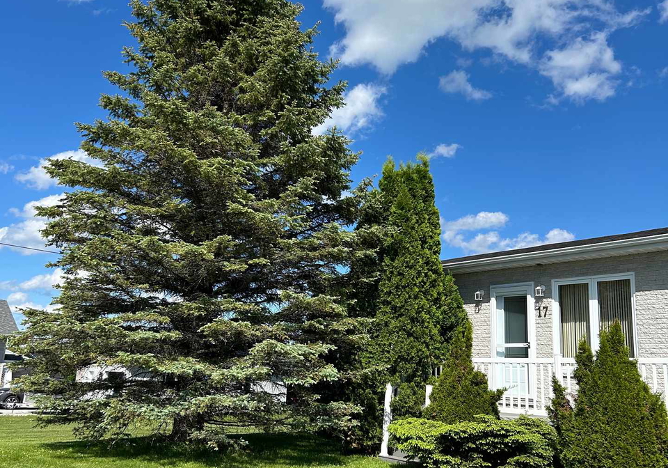 17-tremblay-fauquier-avenue-s-kapuskasing-ontario-t13451640