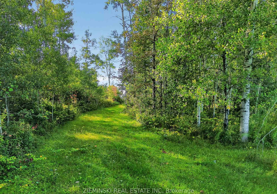 4093-hwy-11-south-highway-black-river-matheson-ontario-t13859222