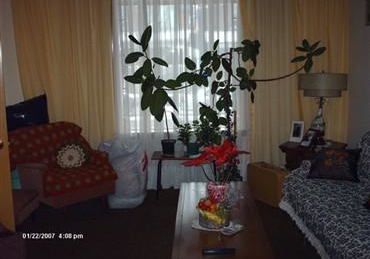 128-galley-avenue-toronto-ontario-w1058603