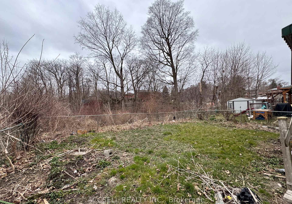 146-sentinel-road-york-ontario-w12083817