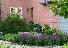 189-ryerson-road-oakville-ontario-w12091342