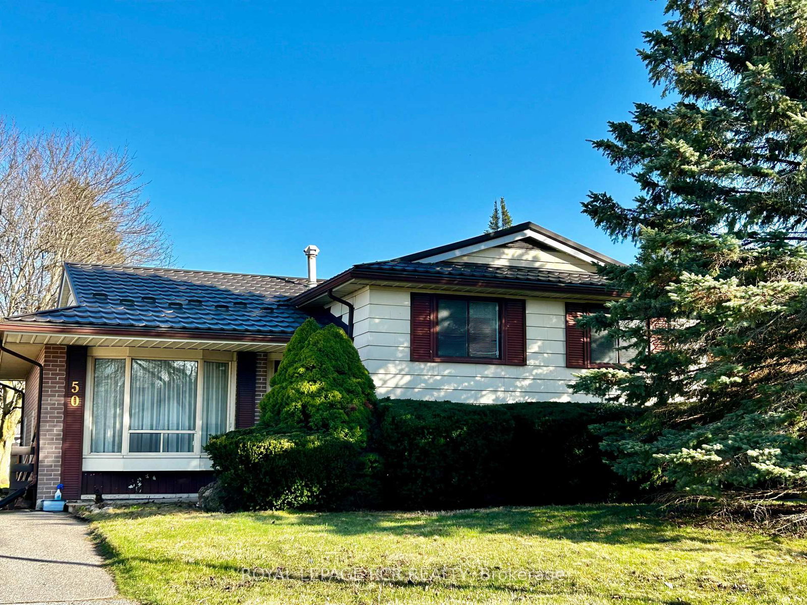 50-princess-street-orangeville-ontario-w12098161