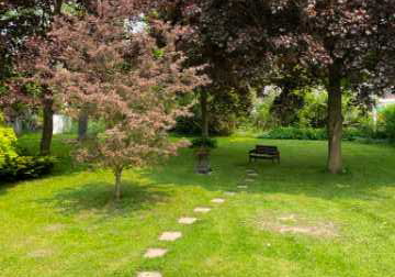 24-town-line-orangeville-ontario-w12120540