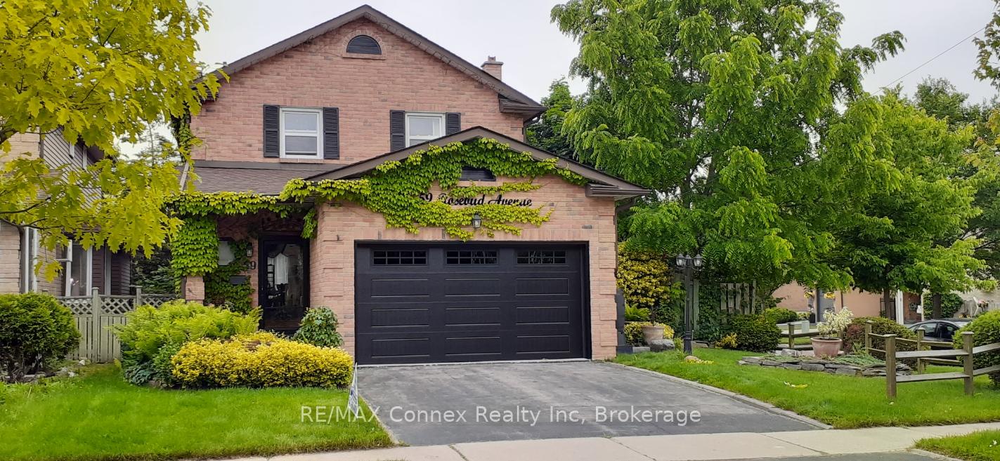 59-rosebud-avenue-brampton-ontario-w12161487