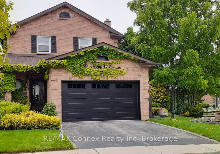 59-rosebud-avenue-brampton-ontario-w12161487