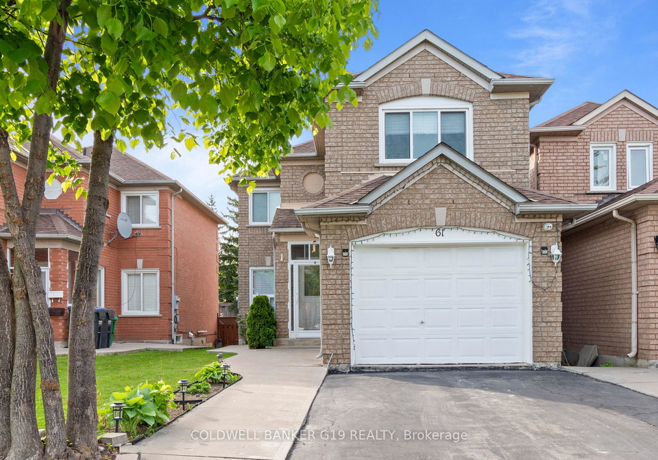 61-homewood-street-brampton-ontario-w12173112