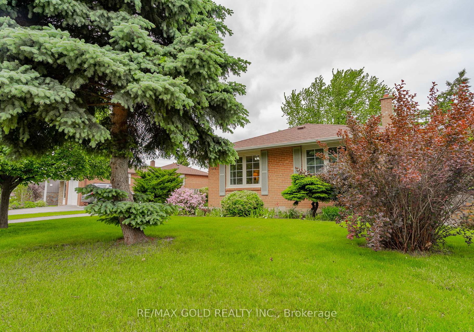 226-avondale-boulevard-brampton-ontario-w12188539