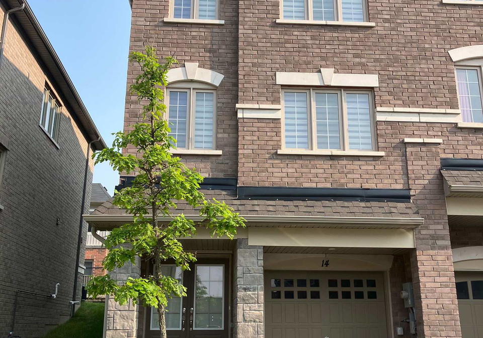 68-first-street-orangeville-ontario-w12203160