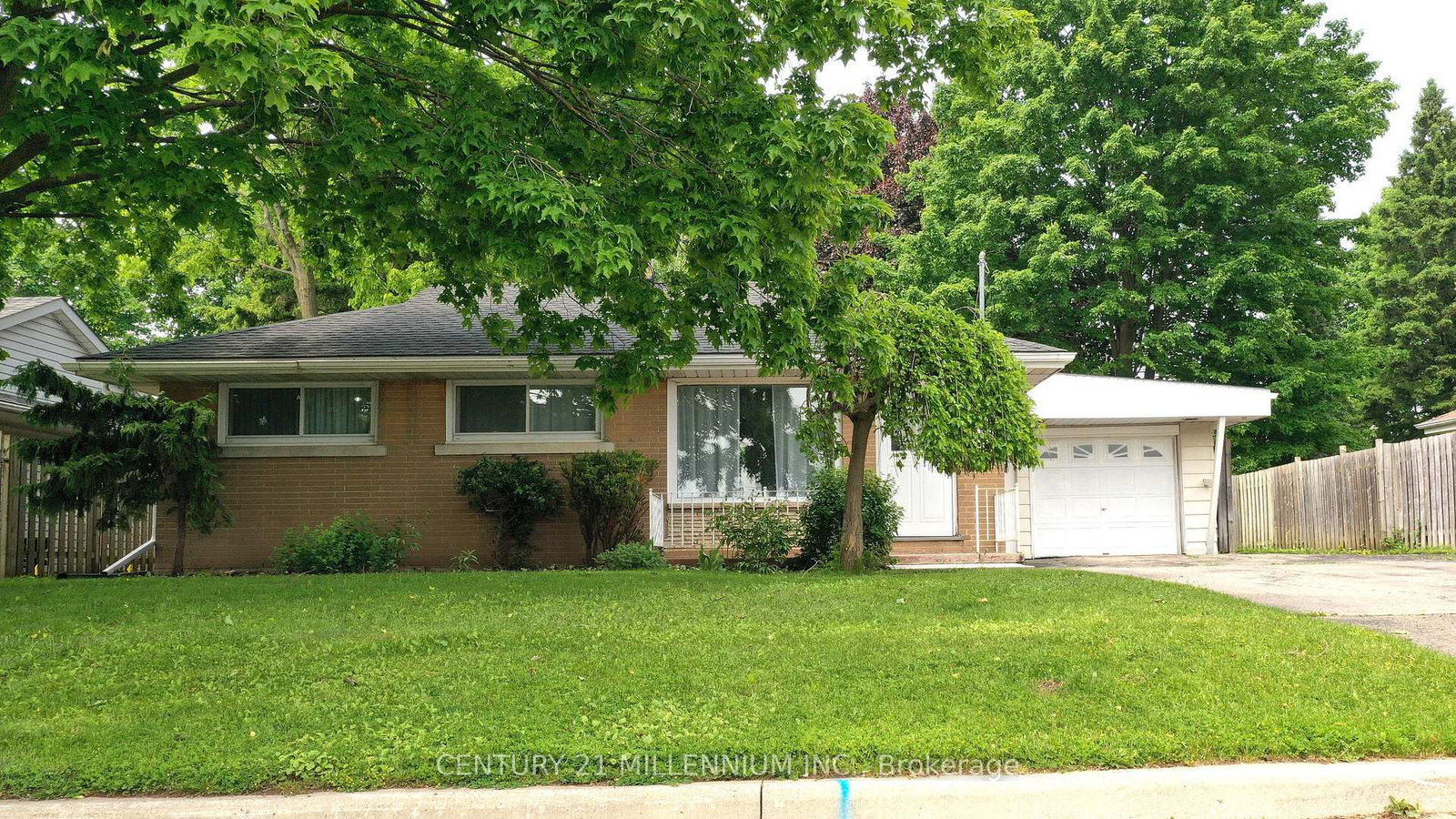 339-broadway-orangeville-ontario-w12206035