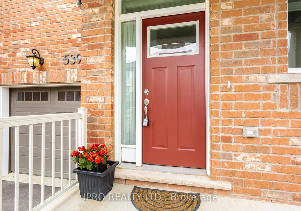 539-bellflower-court-milton-ontario-w12213646