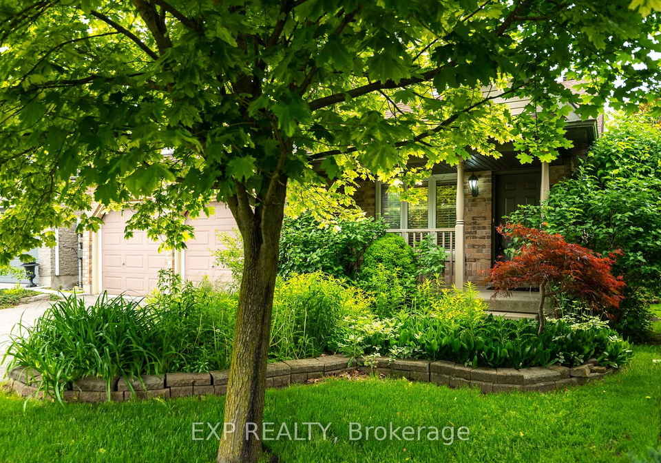 11-palace-court-orangeville-ontario-w12216201