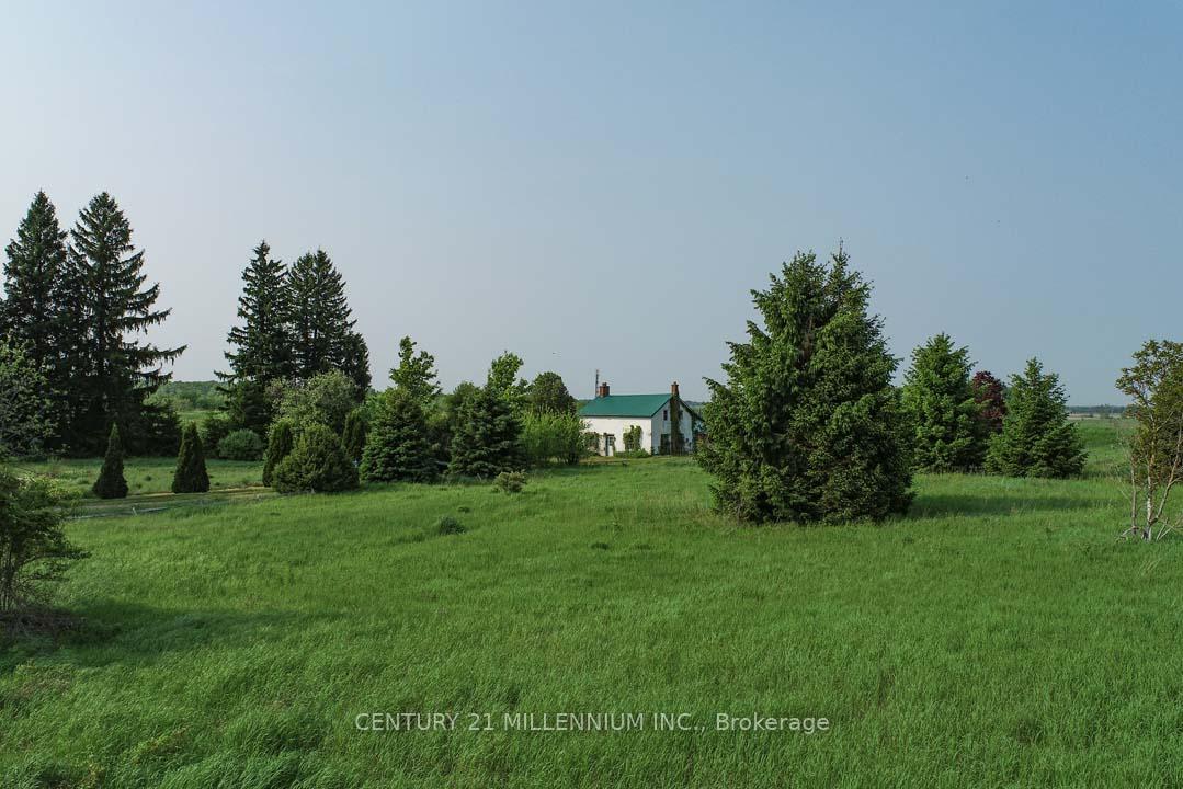 18323-shaws-creek-road-caledon-ontario-w12217982