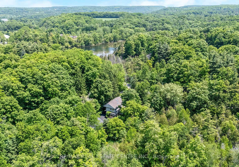 209-campbell-avenue-e-milton-ontario-w12218854