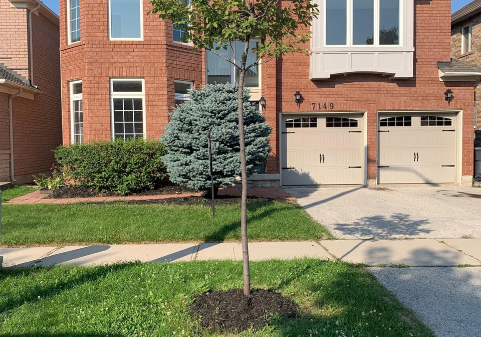 7149-sunthorpe-lane-mississauga-ontario-w12222646