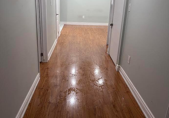 6-peggy-court-brampton-ontario-w12247895