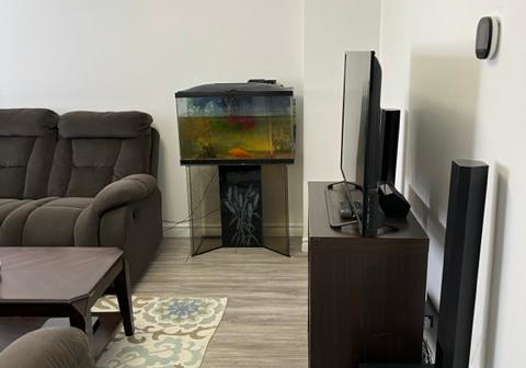 1-graymar-road-brampton-ontario-w12273264