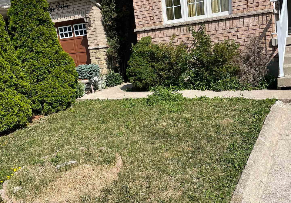 35-echoridge-drive-brampton-ontario-w12314267