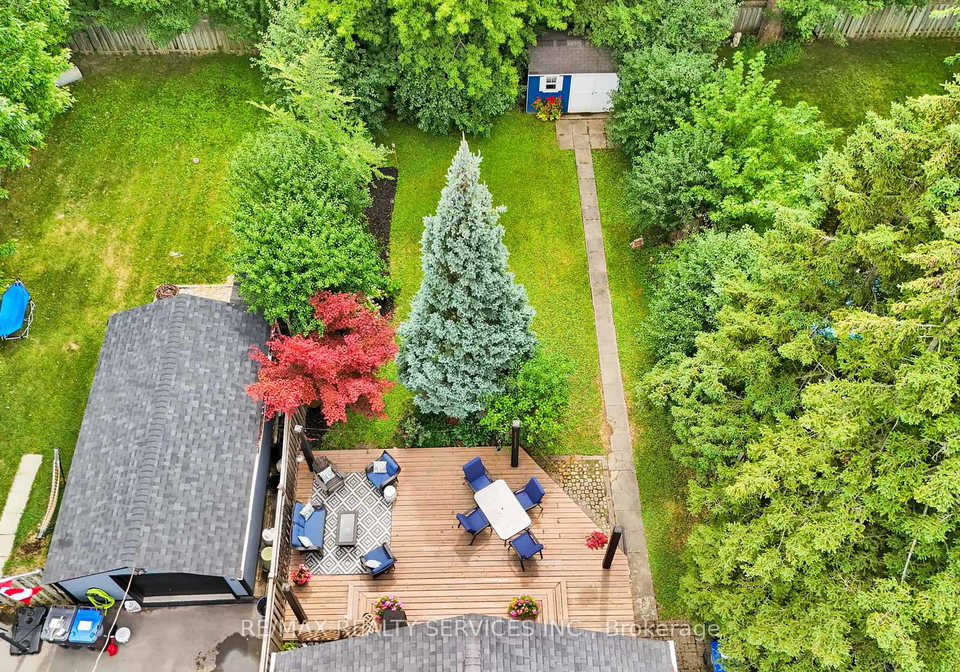 59-jessie-street-brampton-ontario-w12322608