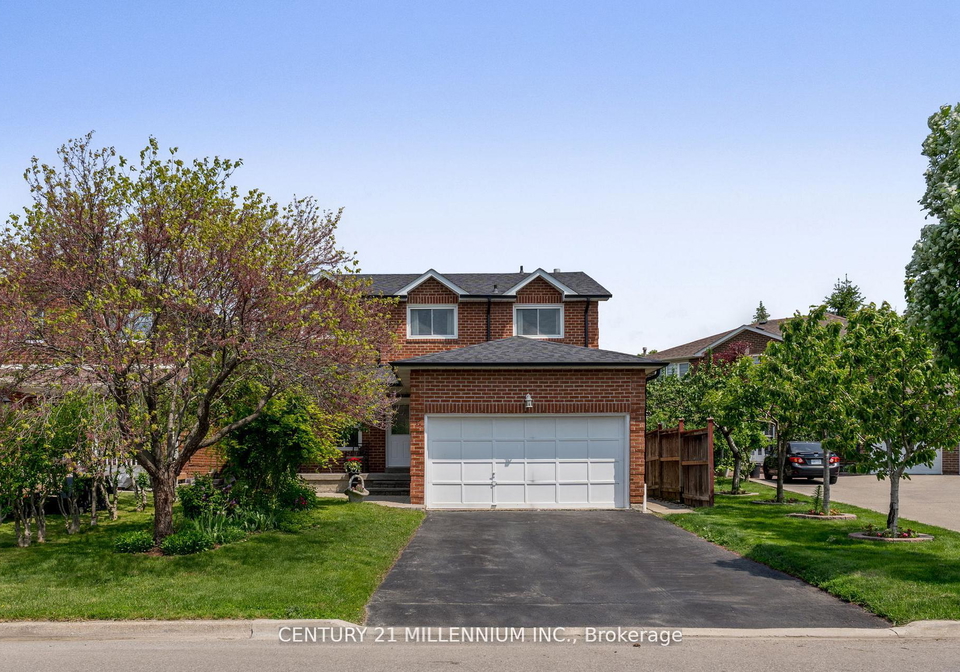 17-whitehaven-drive-brampton-ontario-w12327349