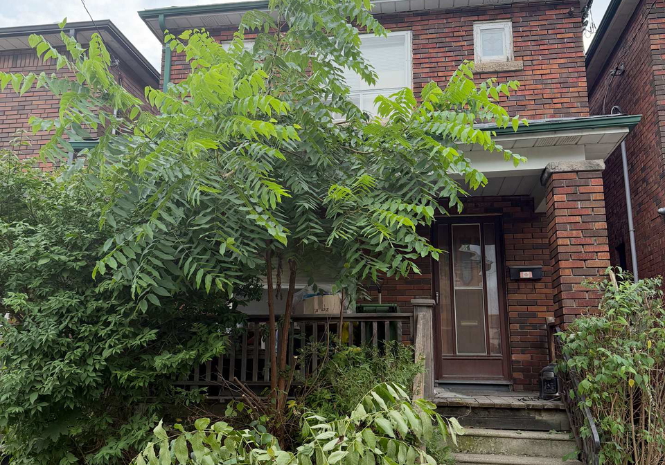 434-symington-avenue-toronto-ontario-w12334617
