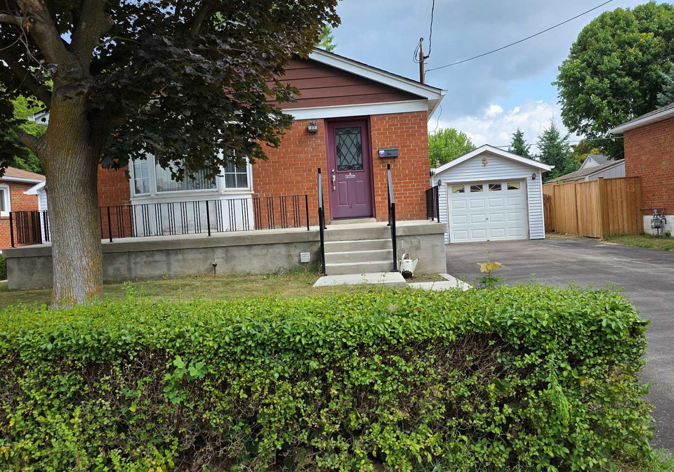 37-shelley-street-halton-hills-ontario-w12340604