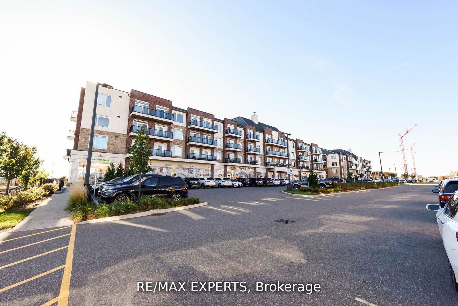 50-sky-harbour-drive-brampton-ontario-w12343917