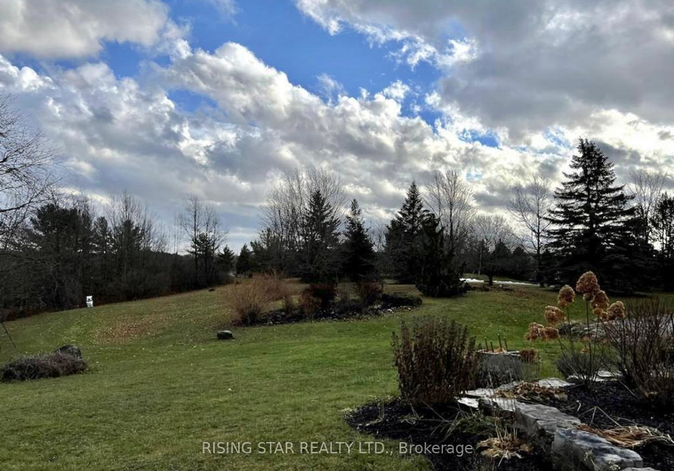 50-mary-street-caledon-ontario-w12355279