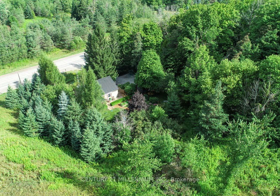 707-charleston-side-road-caledon-ontario-w12361855