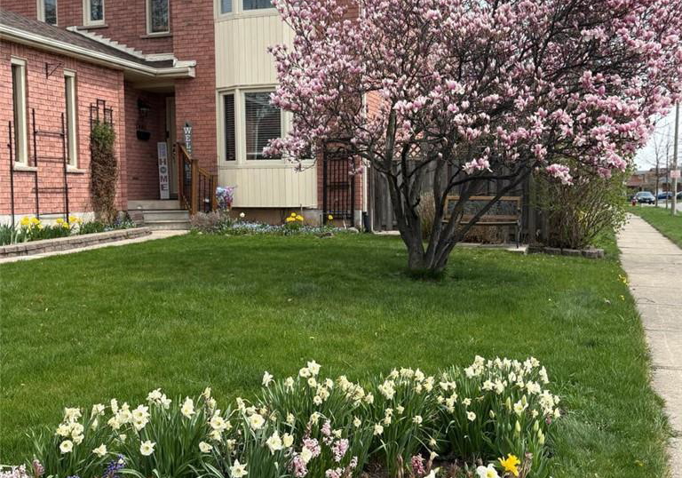 262-murray-street-brampton-ontario-w12364659