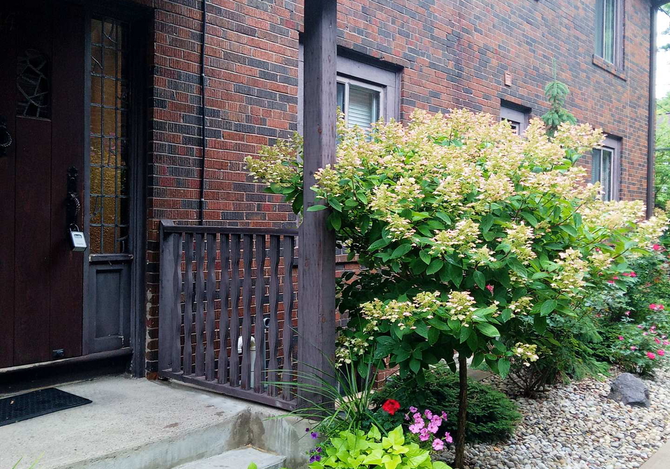 51riverside-drive-toronto-ontario-w12371282
