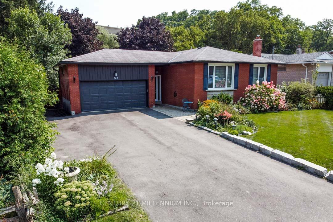 36-hickman-street-caledon-ontario-w12376137