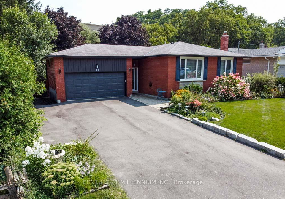 36-hickman-street-caledon-ontario-w12376137