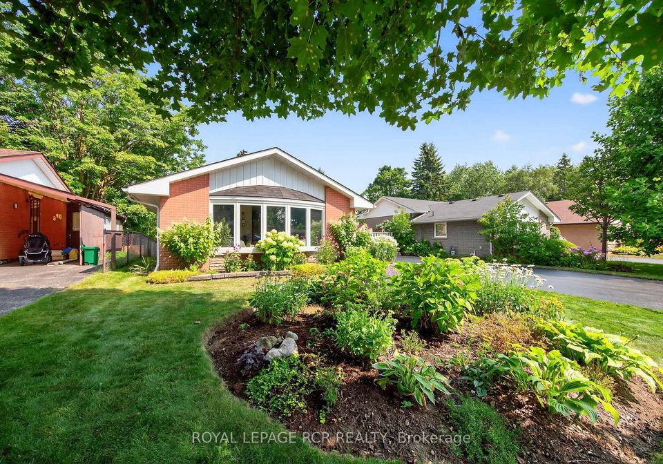 217-zina-street-orangeville-ontario-w12379821