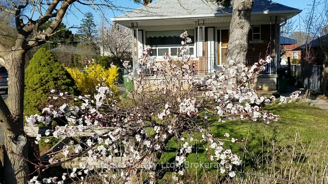 2-allerton-road-etobicoke-ontario-w12383227
