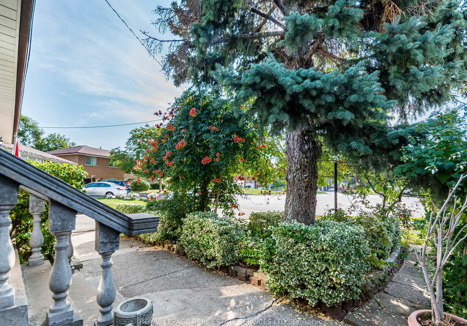 14-austrey-court-york-ontario-w12406869