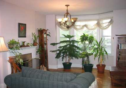 212-pearson-avenue-toronto-ontario-w1242596