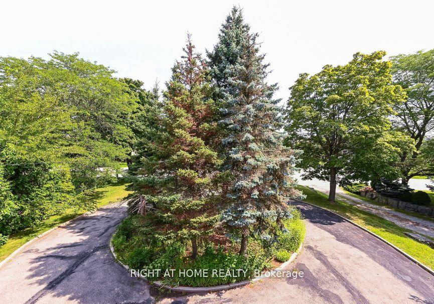 6800-second-line-w-mississauga-ontario-w12441159