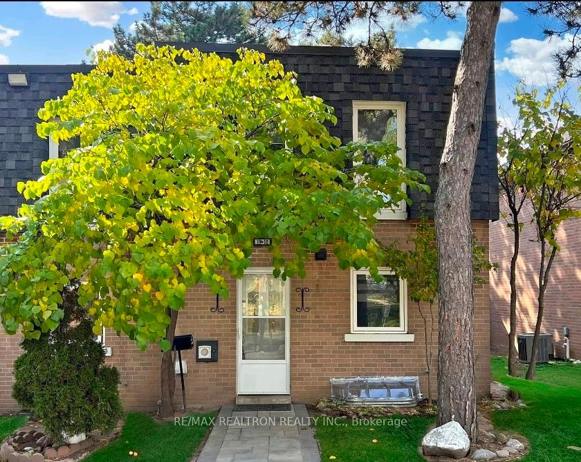 19-derrydown-road-york-ontario-w12444100