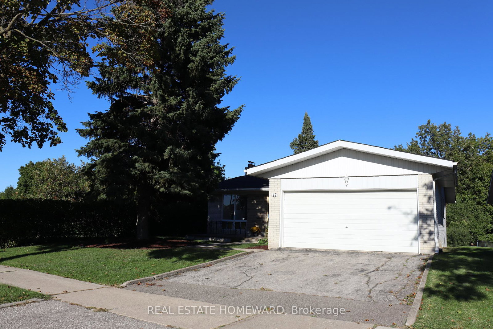 17-collingdale-road-etobicoke-ontario-w12444756