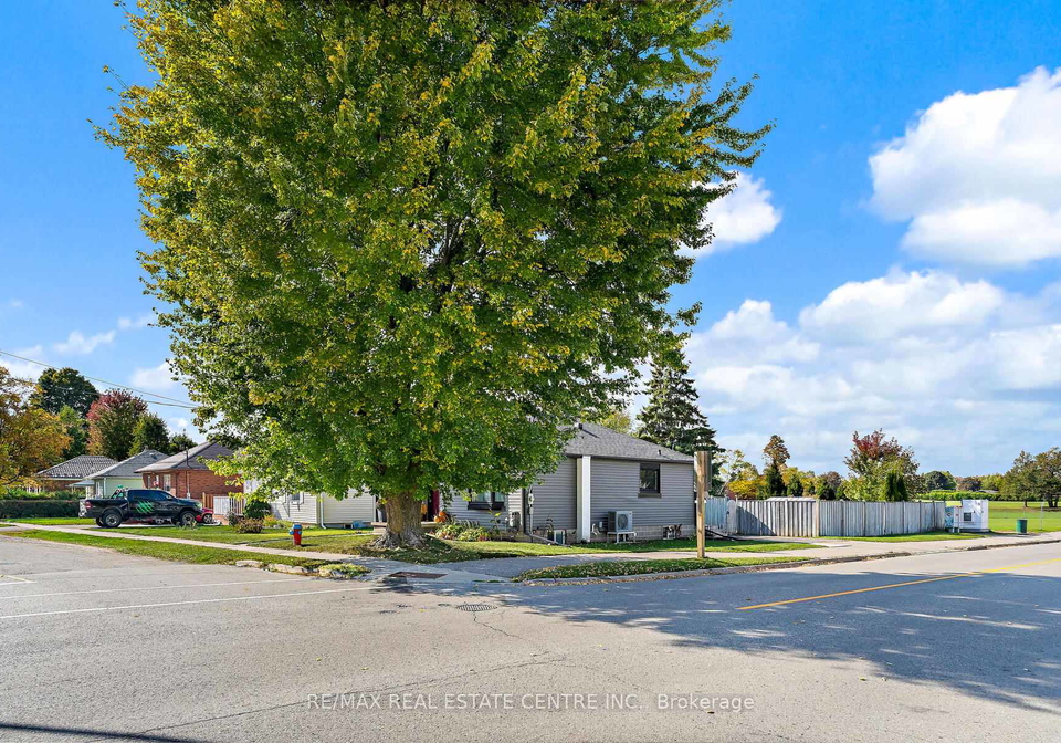 351-peel-street-halton-hills-ontario-w12449410