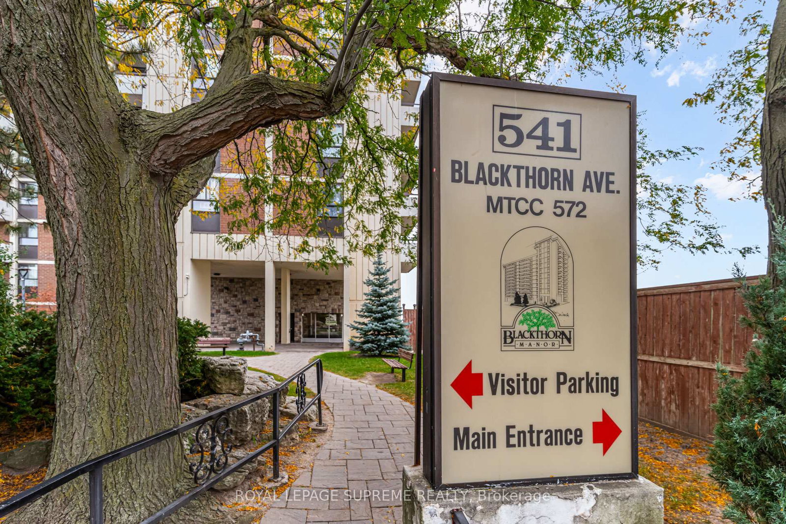 541-blackthorn-avenue-toronto-ontario-w12452581