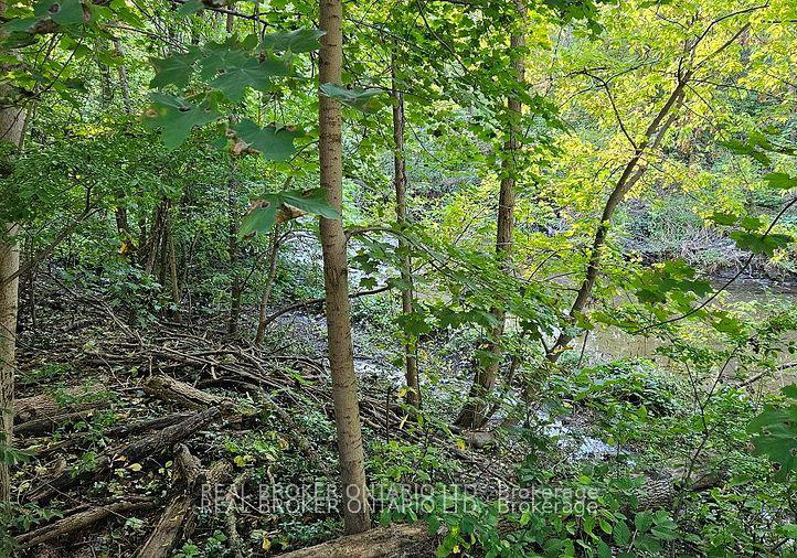 841-fletcher-valley-crescent-mississauga-ontario-w12471092