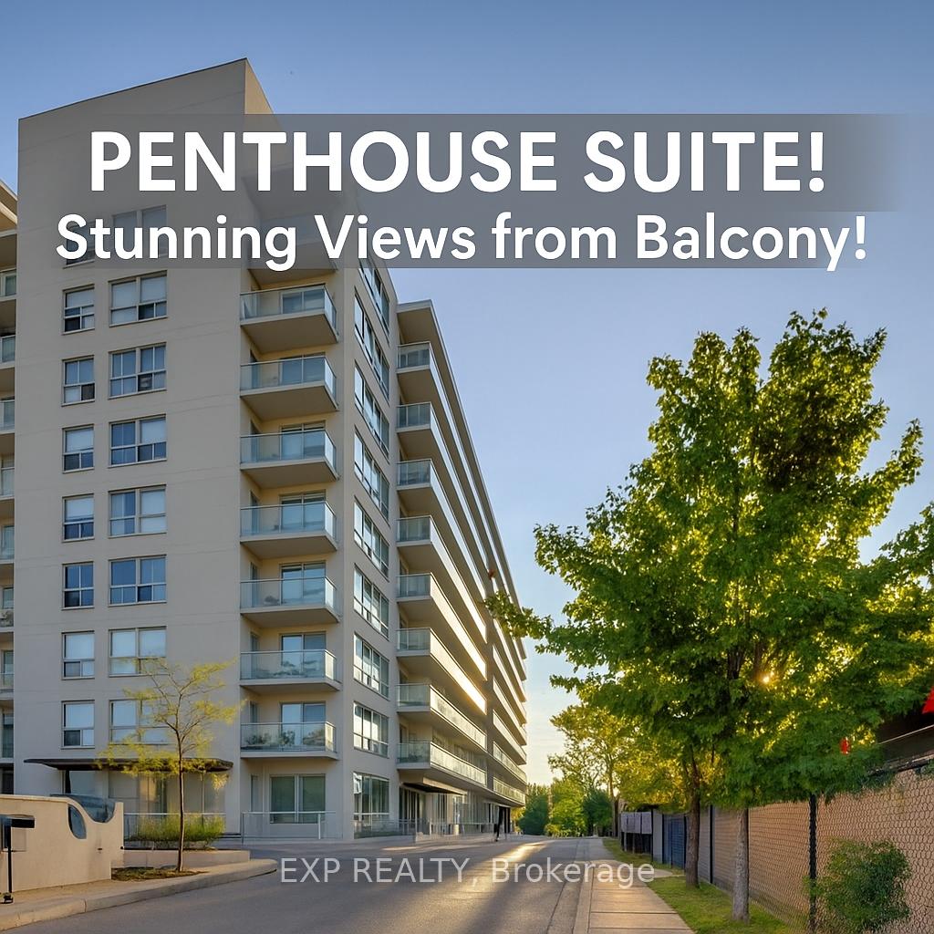 2464-weston-road-north-york-ontario-w12473856