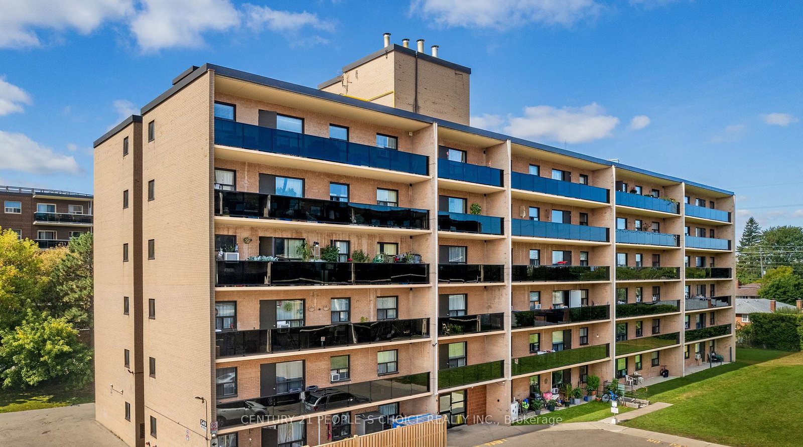 573-north-service-road-mississauga-ontario-w12477265