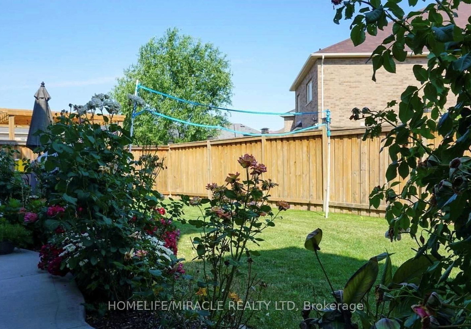 61-kalmia-road-brampton-ontario-w12480562