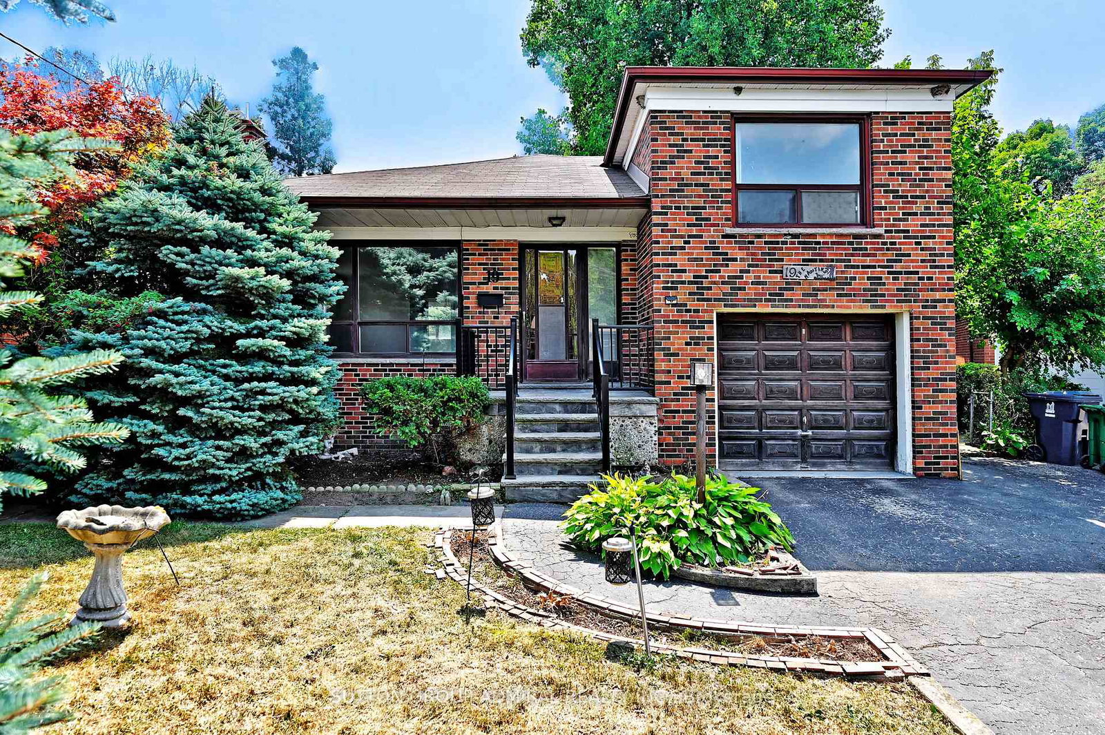 19-skipton-court-york-ontario-w12490412