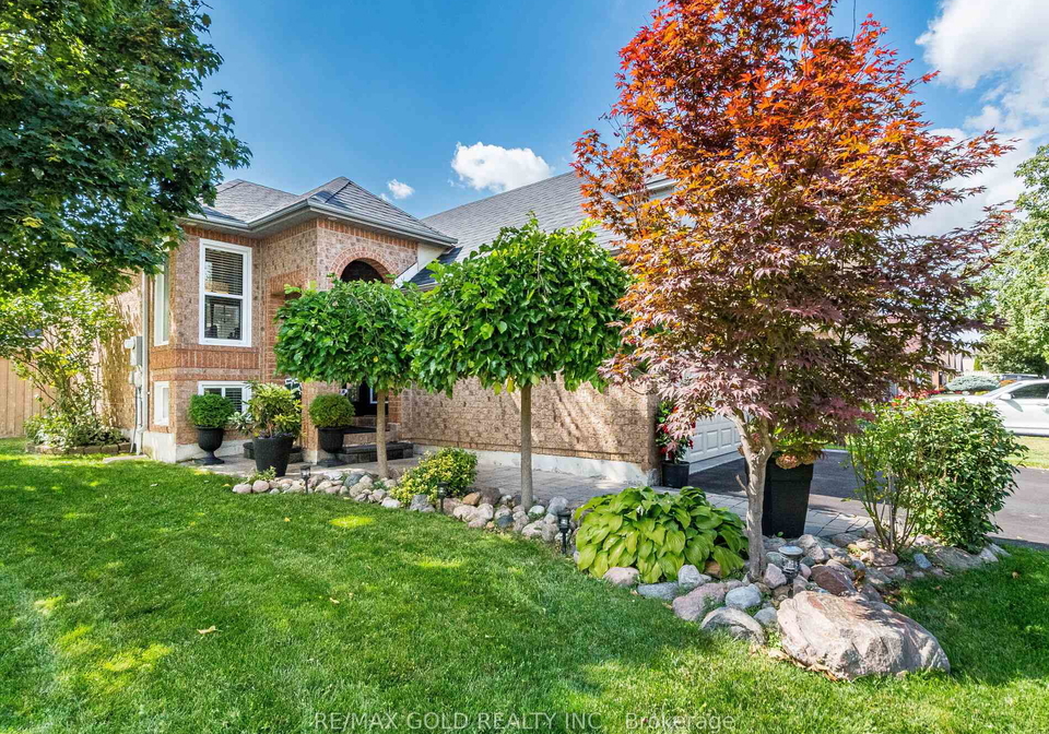 98-springview-drive-brampton-ontario-w12494690